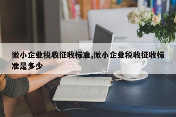 微小企业税收征收标准,微小企业税收征收标准是多少
