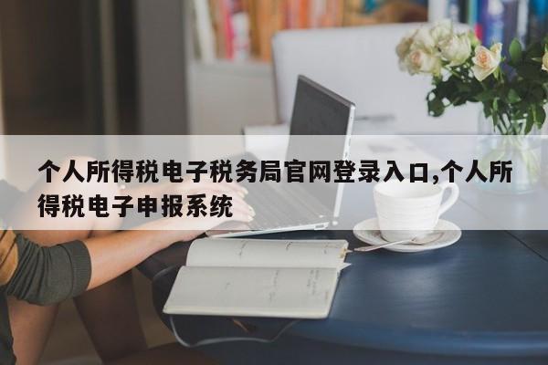 个人所得税电子税务局官网登录入口,个人所得税电子申报系统
