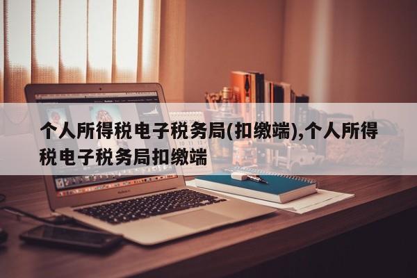 个人所得税电子税务局(扣缴端),个人所得税电子税务局扣缴端