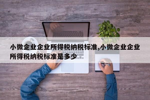 小微企业企业所得税纳税标准,小微企业企业所得税纳税标准是多少