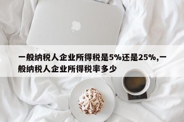 一般纳税人企业所得税是5%还是25%,一般纳税人企业所得税率多少