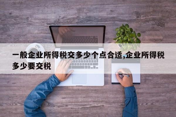 一般企业所得税交多少个点合适,企业所得税多少要交税