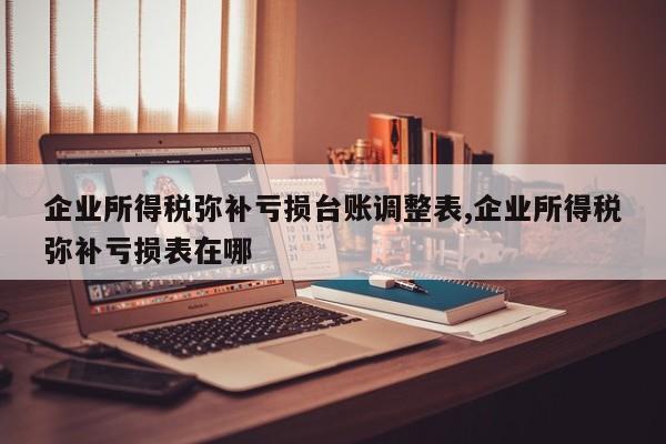 企业所得税弥补亏损台账调整表,企业所得税弥补亏损表在哪