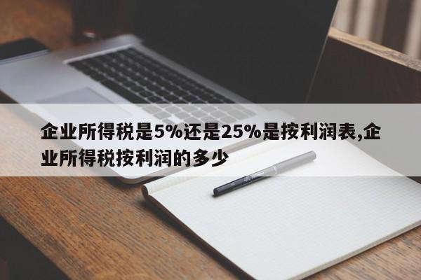 企业所得税是5%还是25%是按利润表,企业所得税按利润的多少