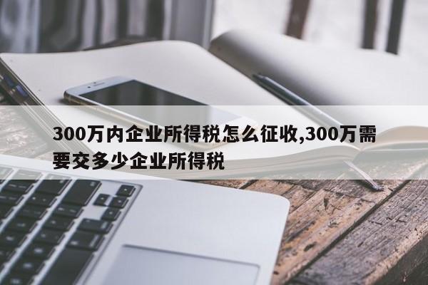 300万内企业所得税怎么征收,300万需要交多少企业所得税