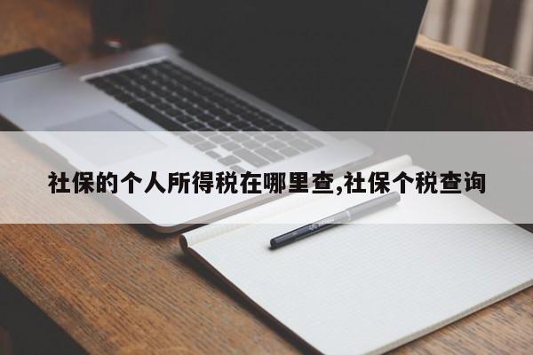 社保的个人所得税在哪里查,社保个税查询