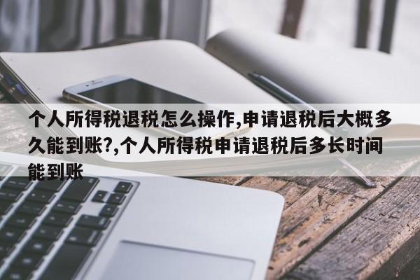 个人所得税退税怎么操作,申请退税后大概多久能到账?,个人所得税申请退税后多长时间能到账