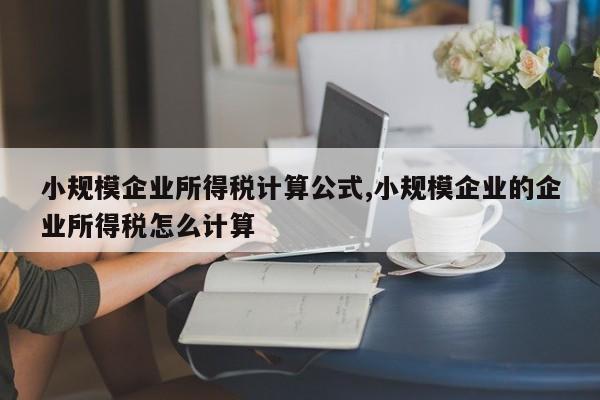 小规模企业所得税计算公式,小规模企业的企业所得税怎么计算