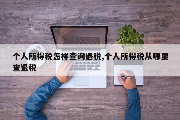 个人所得税怎样查询退税,个人所得税从哪里查退税