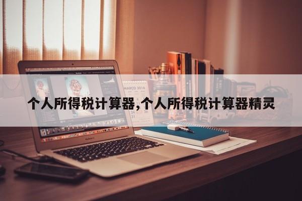 个人所得税计算器,个人所得税计算器精灵