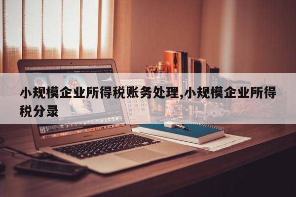小规模企业所得税账务处理,小规模企业所得税分录