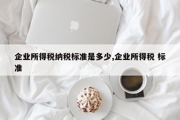 企业所得税纳税标准是多少,企业所得税 标准