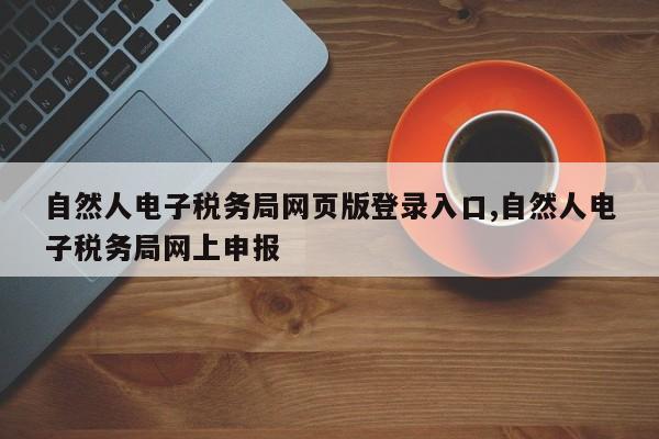 自然人电子税务局网页版登录入口,自然人电子税务局网上申报