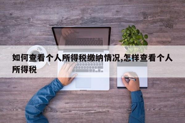 如何查看个人所得税缴纳情况,怎样查看个人所得税