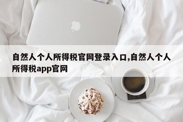 自然人个人所得税官网登录入口,自然人个人所得税app官网