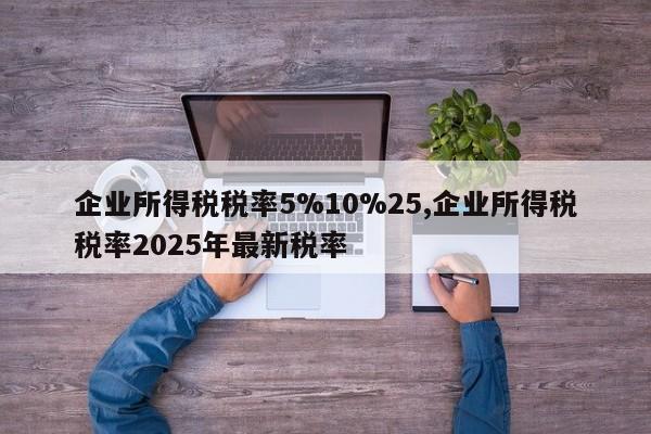 企业所得税税率5%10%25,企业所得税税率2025年最新税率