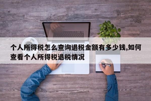 个人所得税怎么查询退税金额有多少钱,如何查看个人所得税退税情况