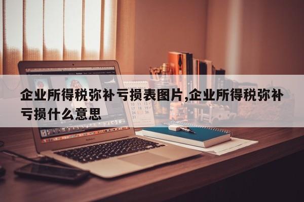 企业所得税弥补亏损表图片,企业所得税弥补亏损什么意思