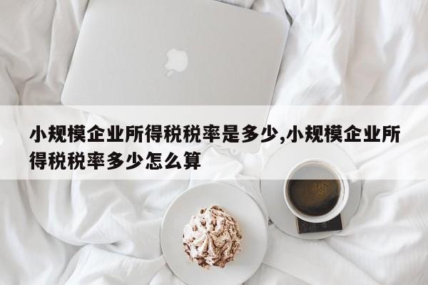 小规模企业所得税税率是多少,小规模企业所得税税率多少怎么算