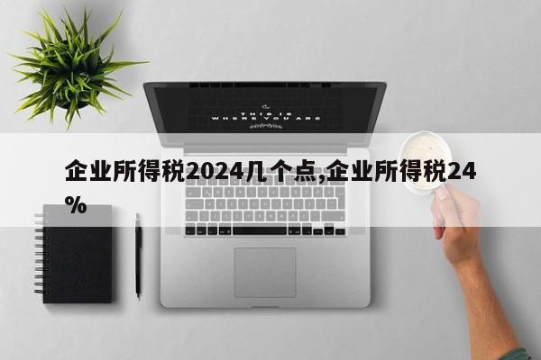 企业所得税2024几个点,企业所得税24%