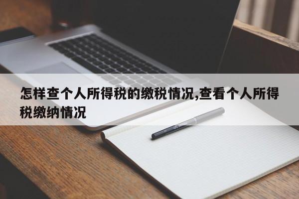 怎样查个人所得税的缴税情况,查看个人所得税缴纳情况