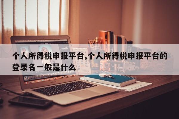 个人所得税申报平台,个人所得税申报平台的登录名一般是什么