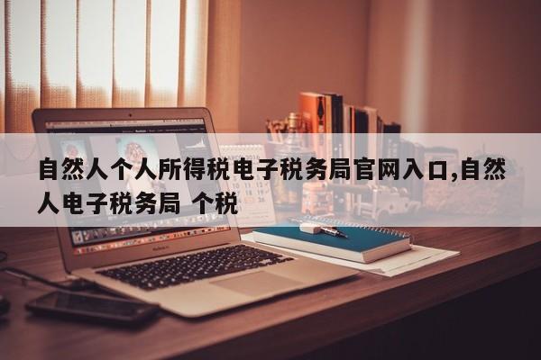 自然人个人所得税电子税务局官网入口,自然人电子税务局 个税