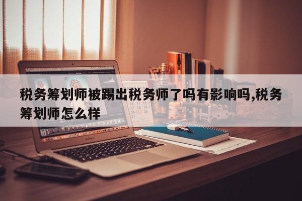 税务筹划师被踢出税务师了吗有影响吗,税务筹划师怎么样