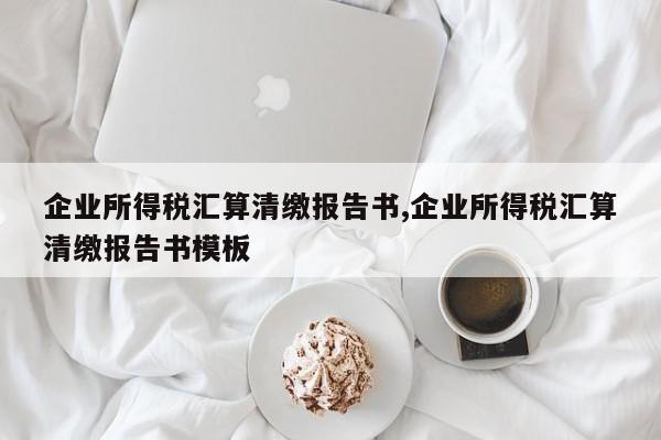 企业所得税汇算清缴报告书,企业所得税汇算清缴报告书模板