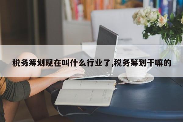税务筹划现在叫什么行业了,税务筹划干嘛的