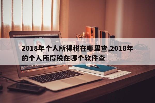2018年个人所得税在哪里查,2018年的个人所得税在哪个软件查