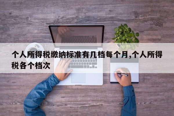 个人所得税缴纳标准有几档每个月,个人所得税各个档次