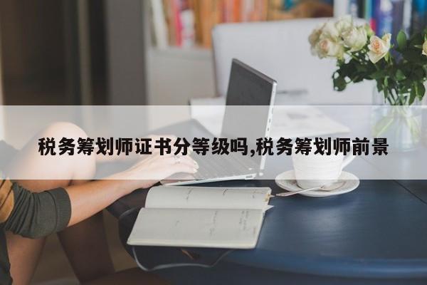 税务筹划师证书分等级吗,税务筹划师前景