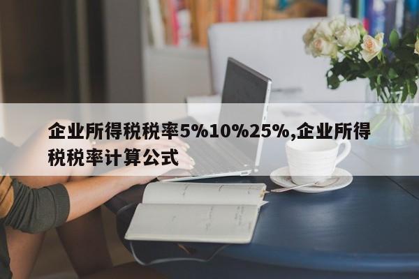 企业所得税税率5%10%25%,企业所得税税率计算公式