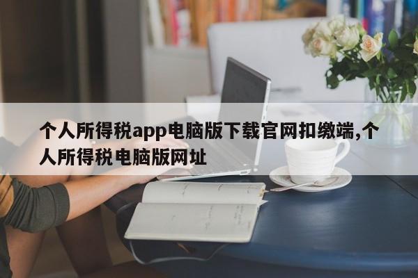 个人所得税app电脑版下载官网扣缴端,个人所得税电脑版网址