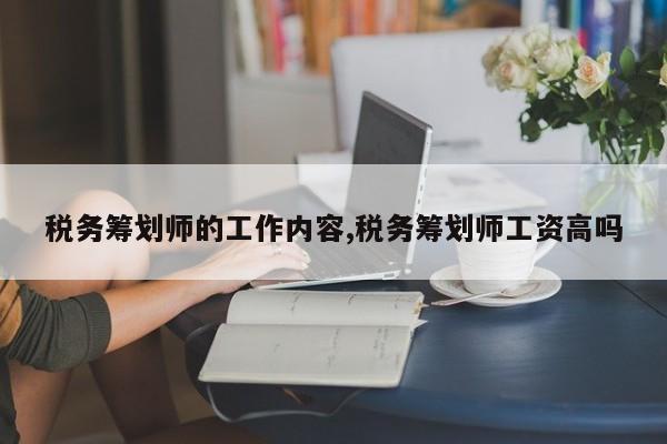 税务筹划师的工作内容,税务筹划师工资高吗