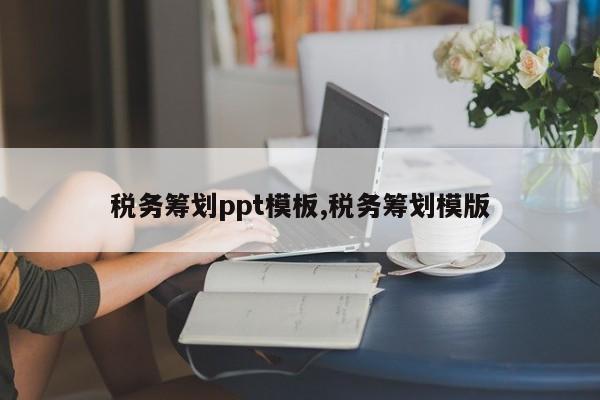 税务筹划ppt模板,税务筹划模版