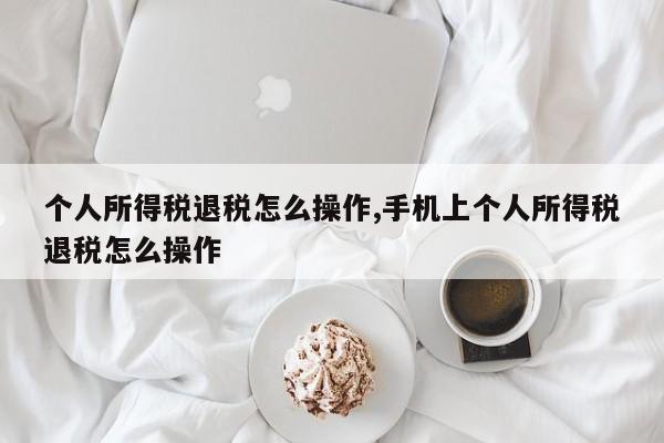 个人所得税退税怎么操作,手机上个人所得税退税怎么操作