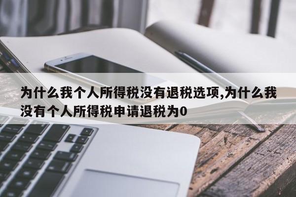 为什么我个人所得税没有退税选项,为什么我没有个人所得税申请退税为0
