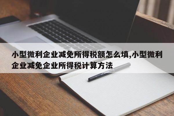 小型微利企业减免所得税额怎么填,小型微利企业减免企业所得税计算方法