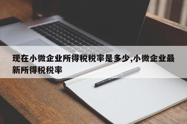 现在小微企业所得税税率是多少,小微企业最新所得税税率
