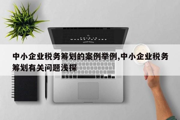 中小企业税务筹划的案例举例,中小企业税务筹划有关问题浅探