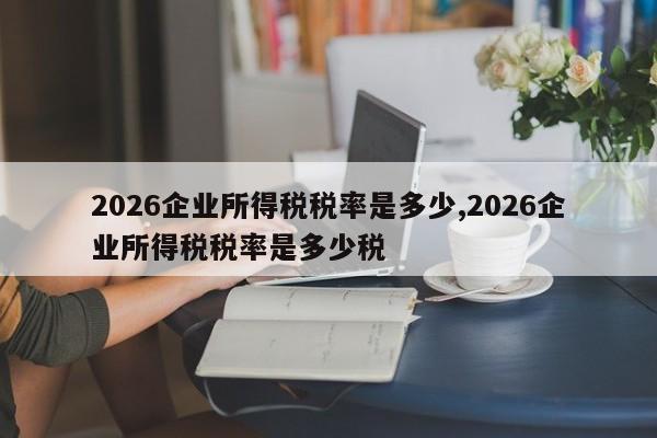 2026企业所得税税率是多少,2026企业所得税税率是多少税