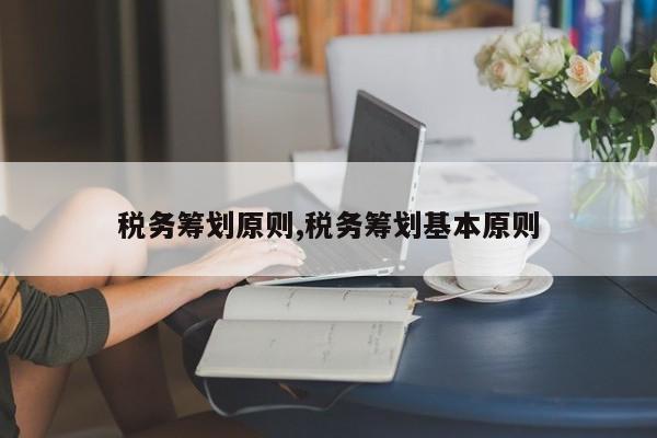 税务筹划原则,税务筹划基本原则
