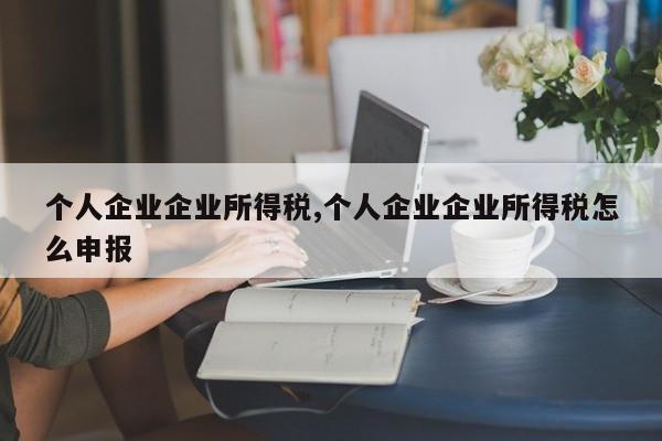 个人企业企业所得税,个人企业企业所得税怎么申报