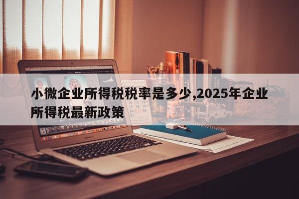 小微企业所得税税率是多少,2025年企业所得税最新政策