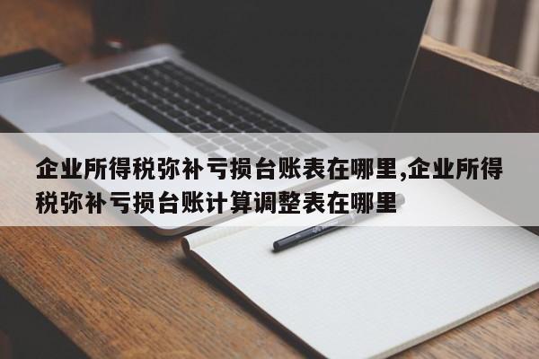 企业所得税弥补亏损台账表在哪里,企业所得税弥补亏损台账计算调整表在哪里