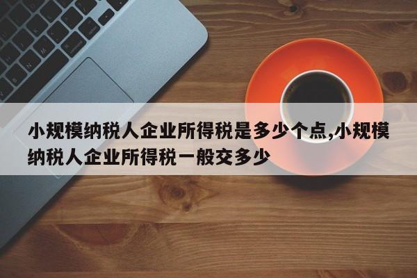 小规模纳税人企业所得税是多少个点,小规模纳税人企业所得税一般交多少
