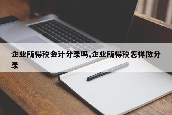 企业所得税会计分录吗,企业所得税怎样做分录