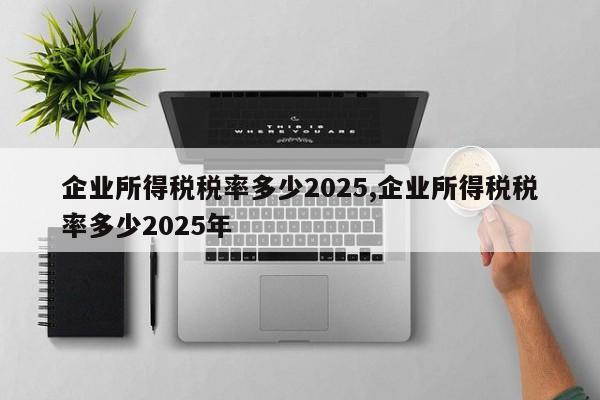企业所得税税率多少2025,企业所得税税率多少2025年